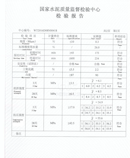 Test Report (5)