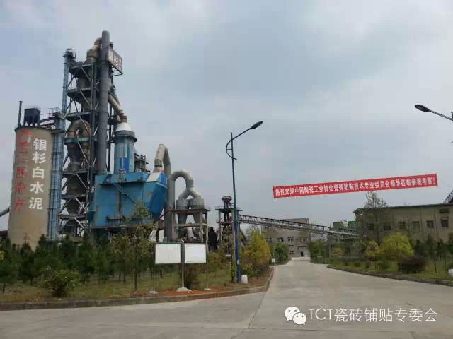 Expertos en tecnología de pasta de baldosas de cerámica invitados cordialmente por la fábrica de Yinshan (1)