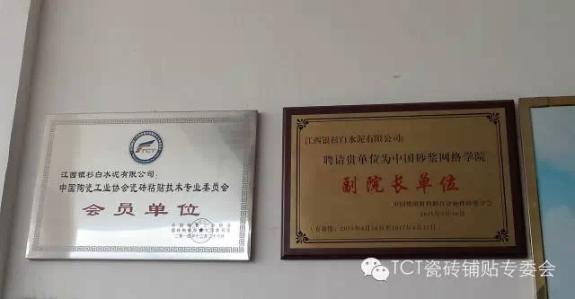 Yinshan Factory Warmly Invited Ceramic Tile Paste Technology Experts (3)